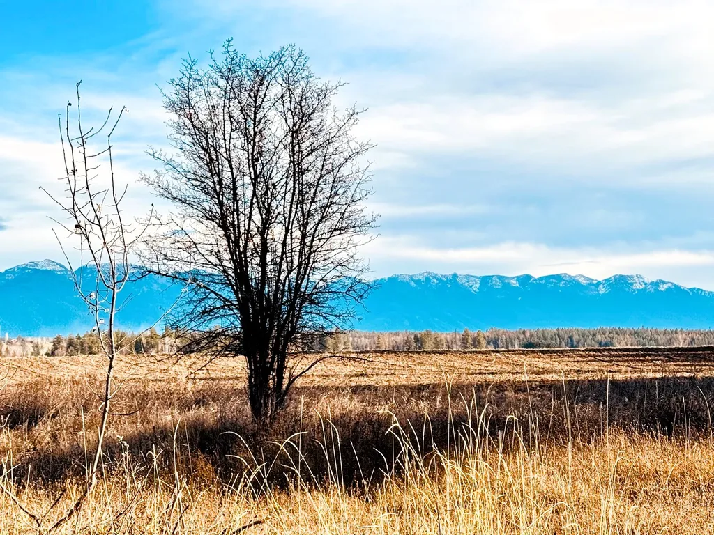 1262 Riverside Road Bigfork MT 59911
