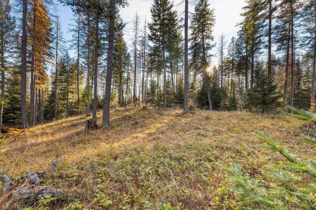 76 Meadow Mint Way Kalispell MT 59901