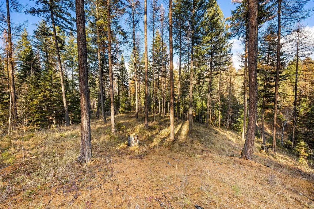76 Meadow Mint Way Kalispell MT 59901