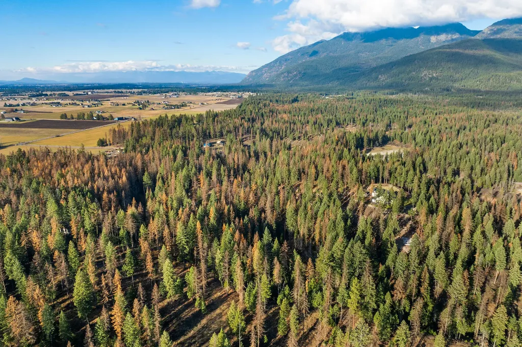 76 Meadow Mint Way Kalispell MT 59901