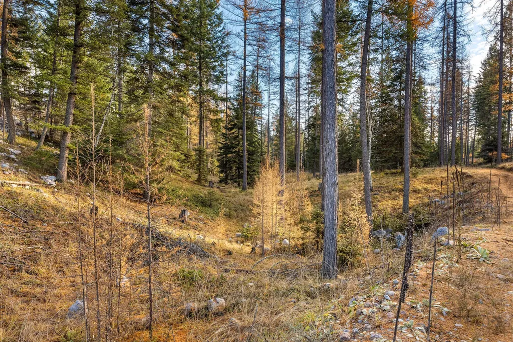 76 Meadow Mint Way Kalispell MT 59901