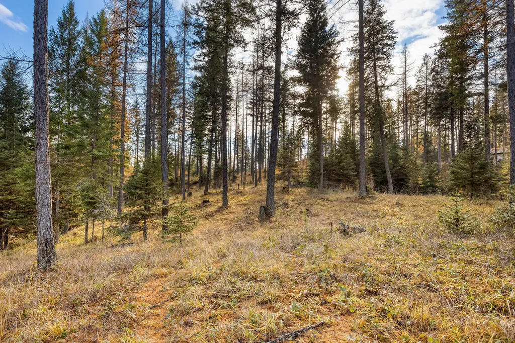 76 Meadow Mint Way Kalispell MT 59901