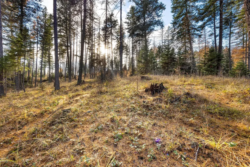 76 Meadow Mint Way Kalispell MT 59901