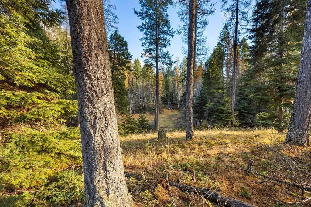 76 Meadow Mint Way Kalispell MT 59901