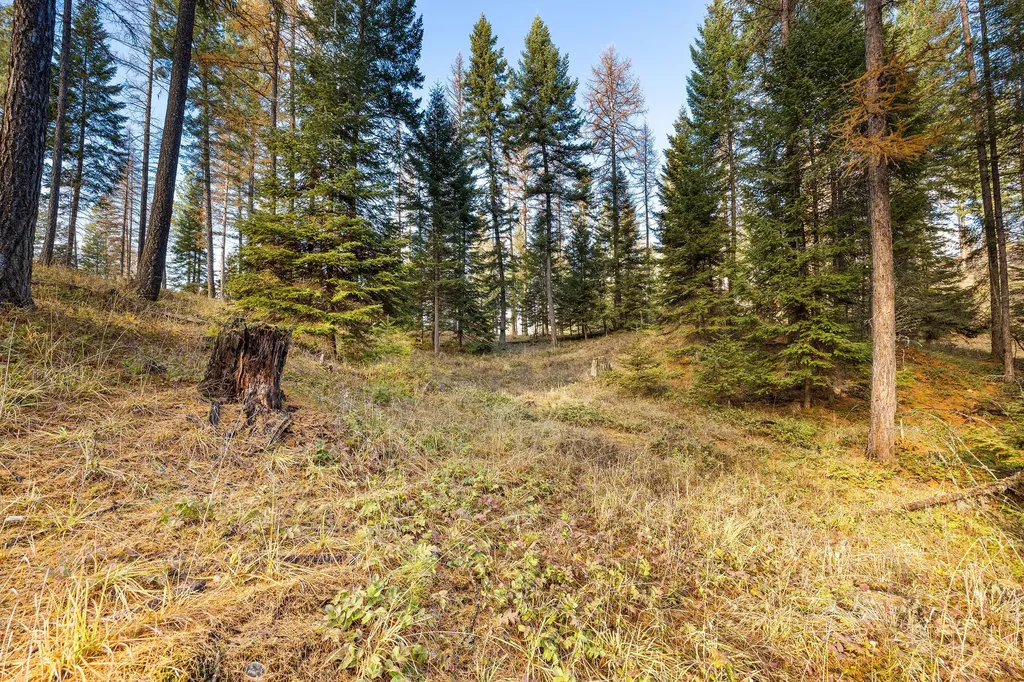 76 Meadow Mint Way Kalispell MT 59901