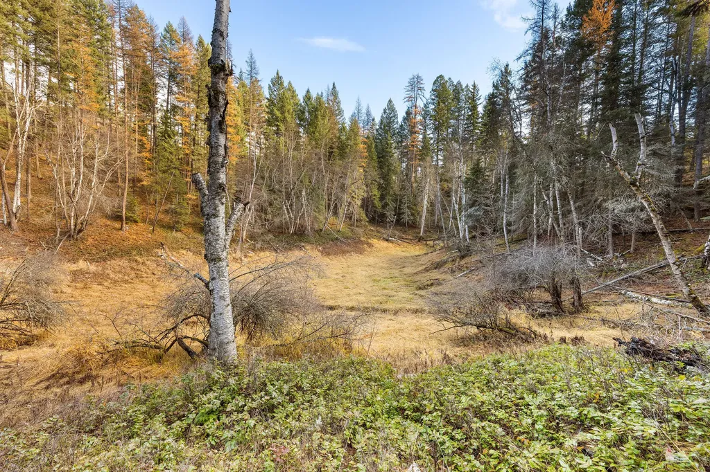 76 Meadow Mint Way Kalispell MT 59901