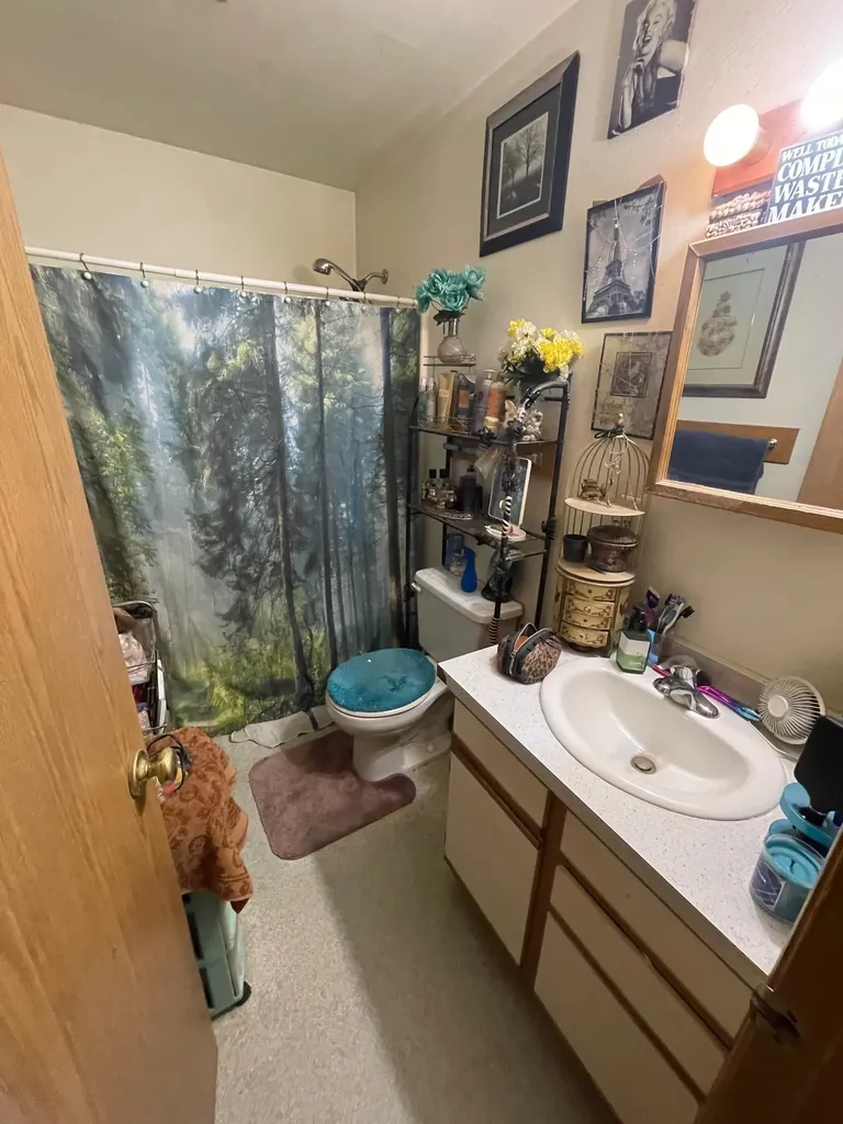 117 Tyler Way Lolo MT 59847