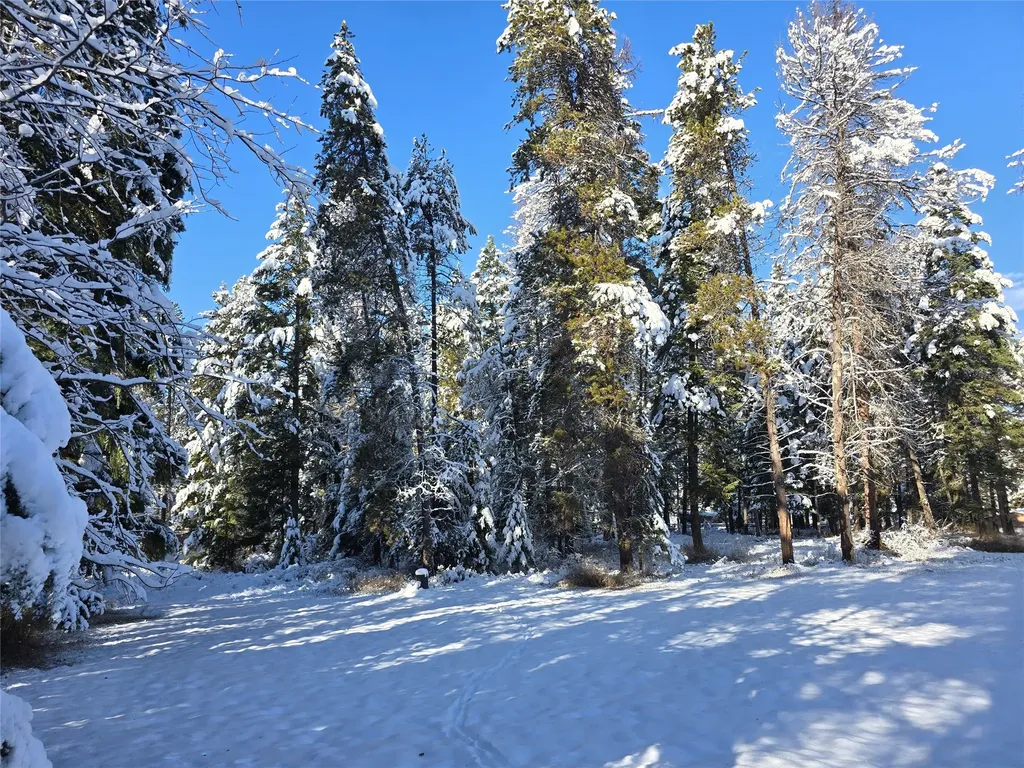 272/268 Moose Trail Whitefish MT 59937