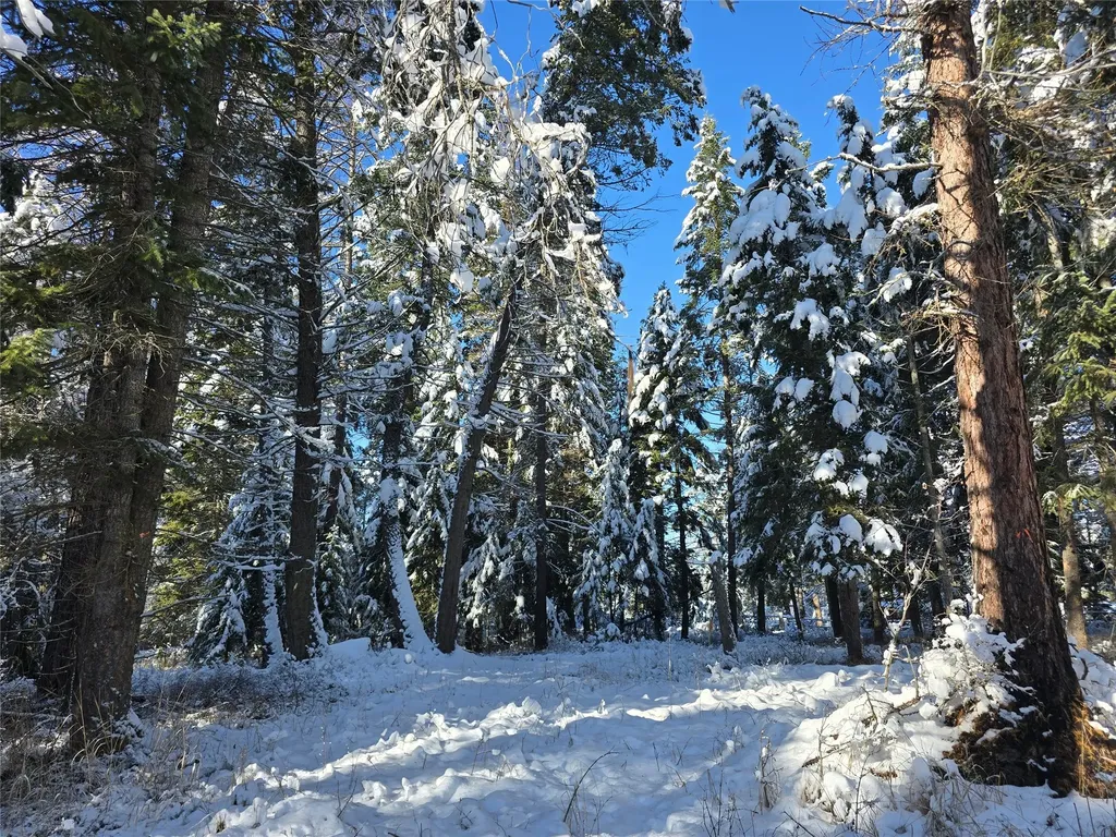 272/268 Moose Trail Whitefish MT 59937