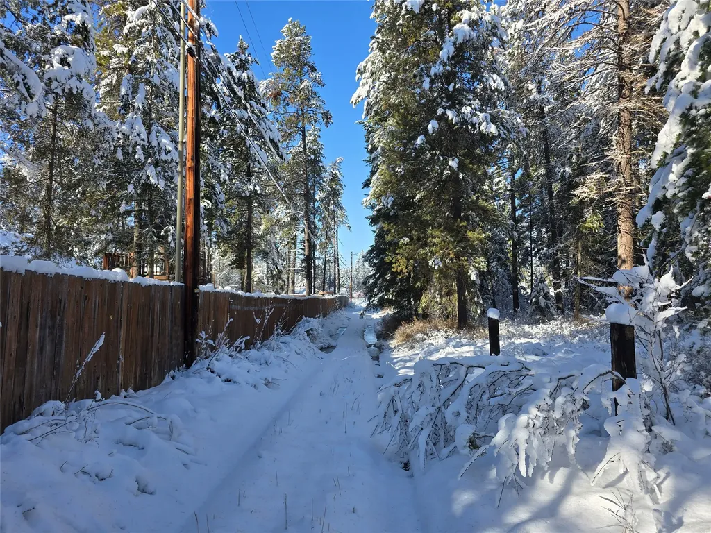 272/268 Moose Trail Whitefish MT 59937