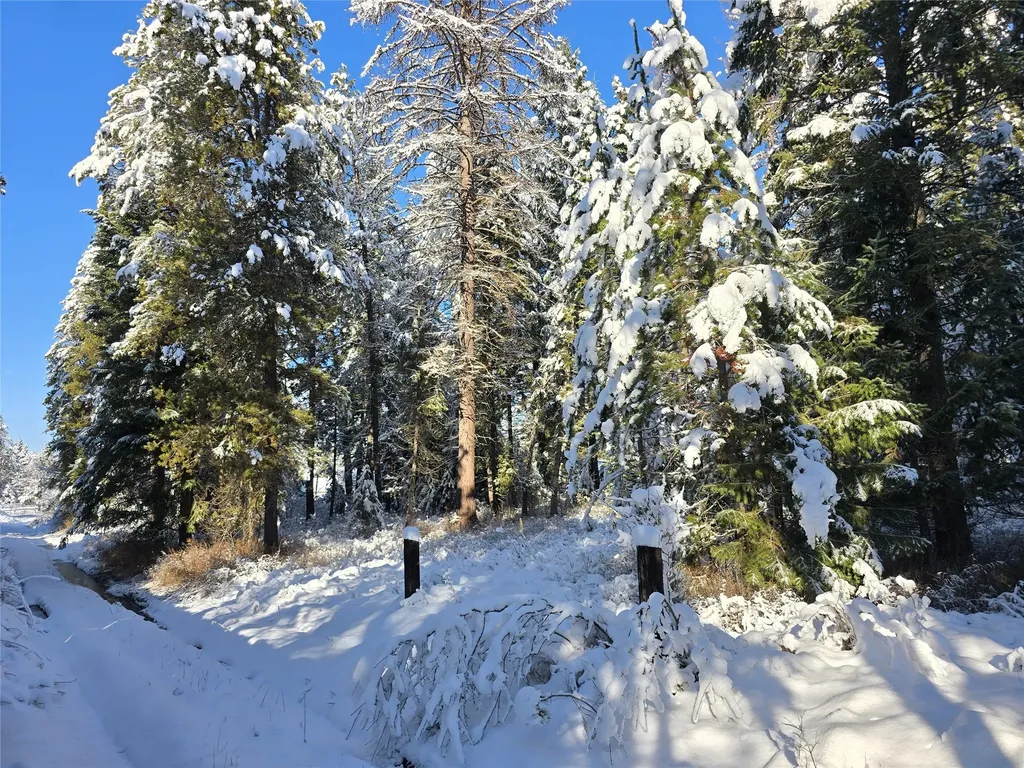 272/268 Moose Trail Whitefish MT 59937