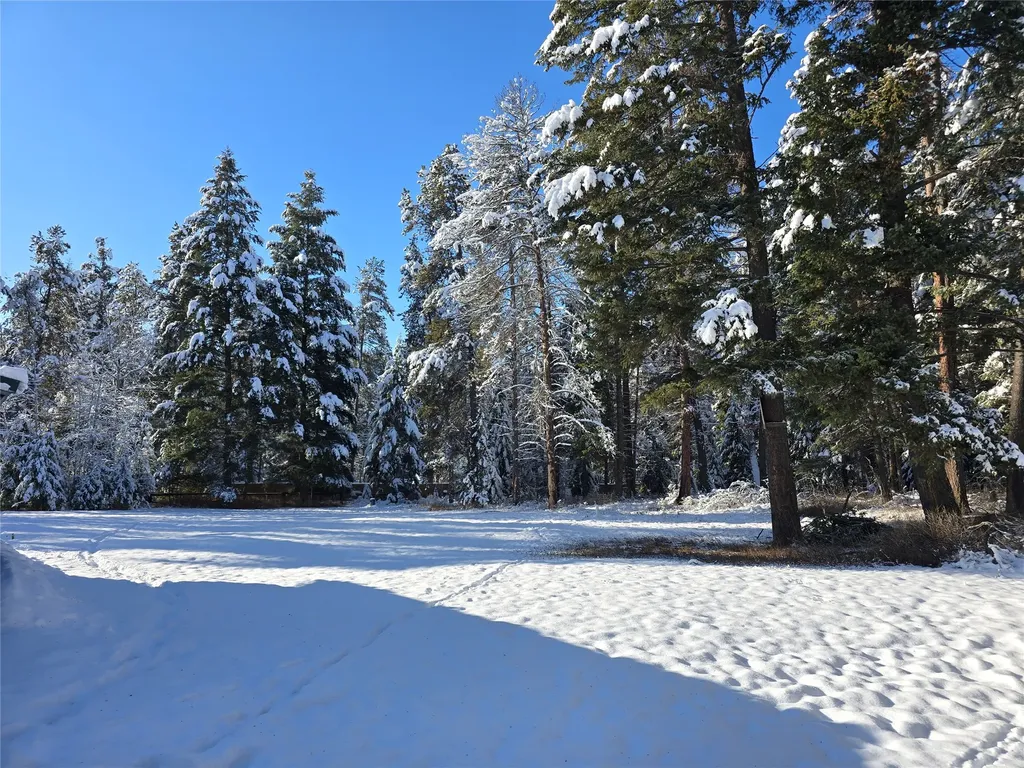 272/268 Moose Trail Whitefish MT 59937