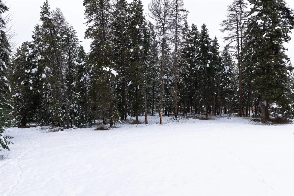 272/268 Moose Trail Whitefish MT 59937