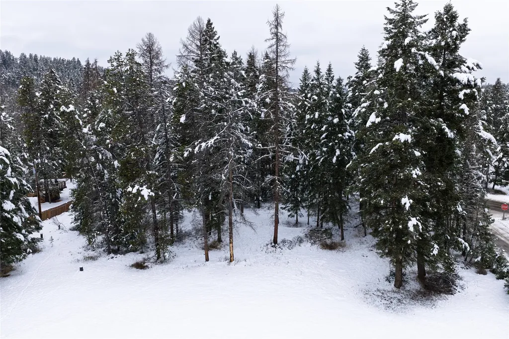 272/268 Moose Trail Whitefish MT 59937