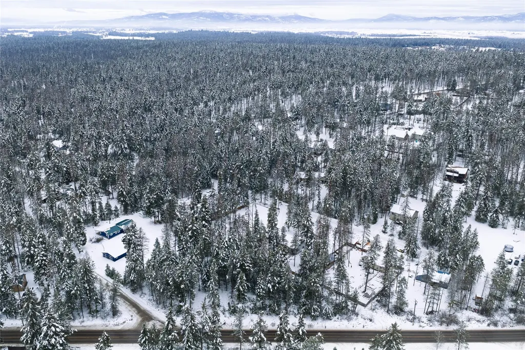272/268 Moose Trail Whitefish MT 59937