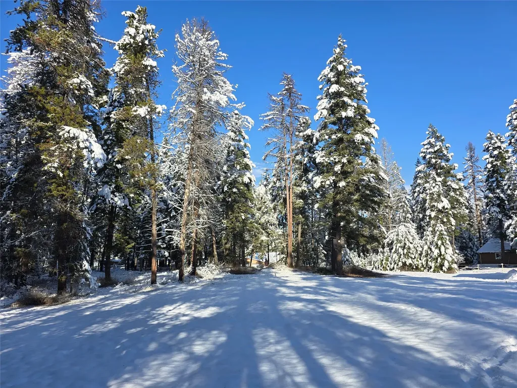 272/268 Moose Trail Whitefish MT 59937