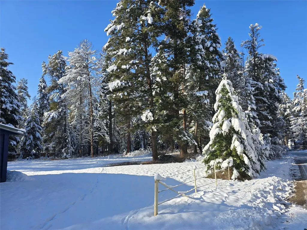 272/268 Moose Trail Whitefish MT 59937