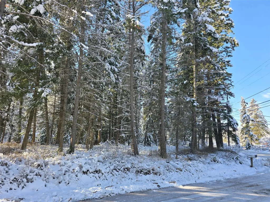 272/268 Moose Trail Whitefish MT 59937