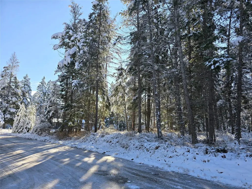 272/268 Moose Trail Whitefish MT 59937