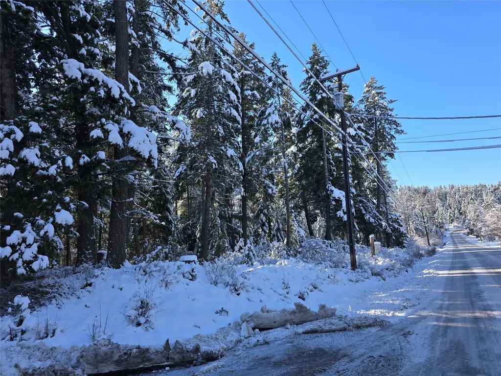 272/268 Moose Trail Whitefish MT 59937