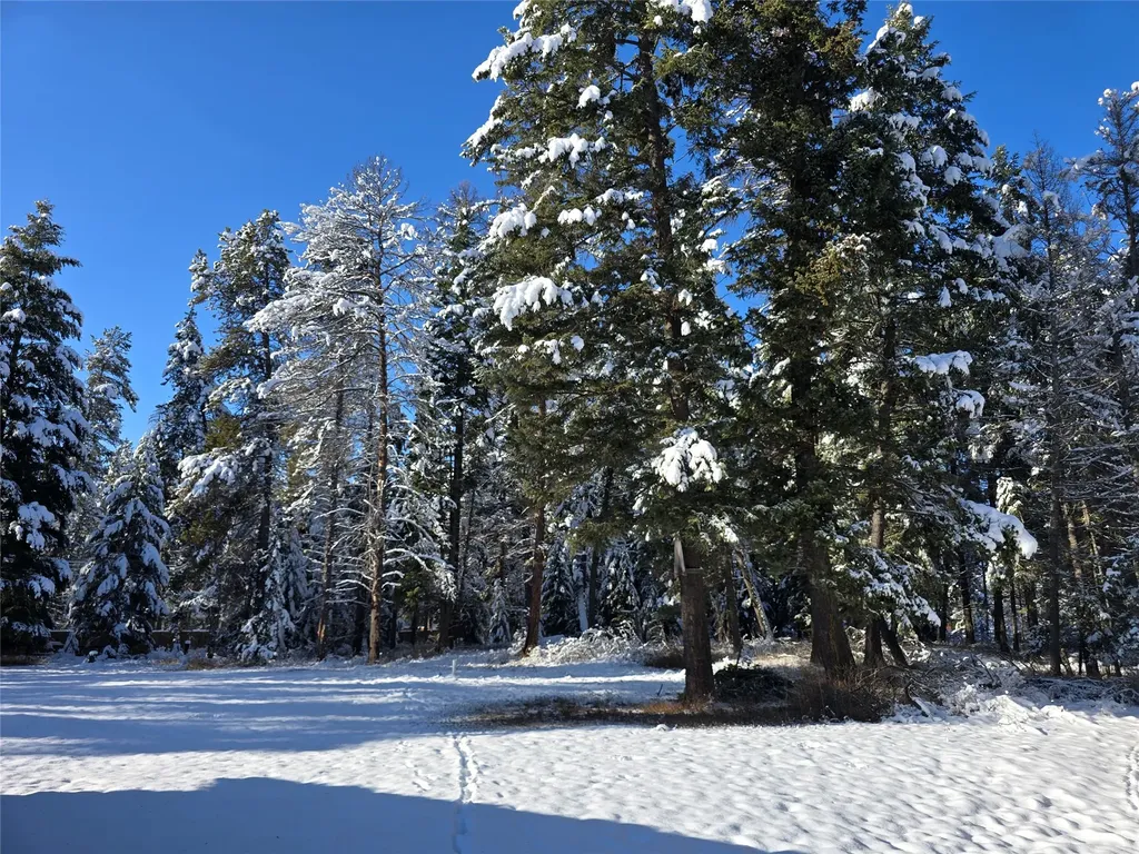 272/268 Moose Trail Whitefish MT 59937