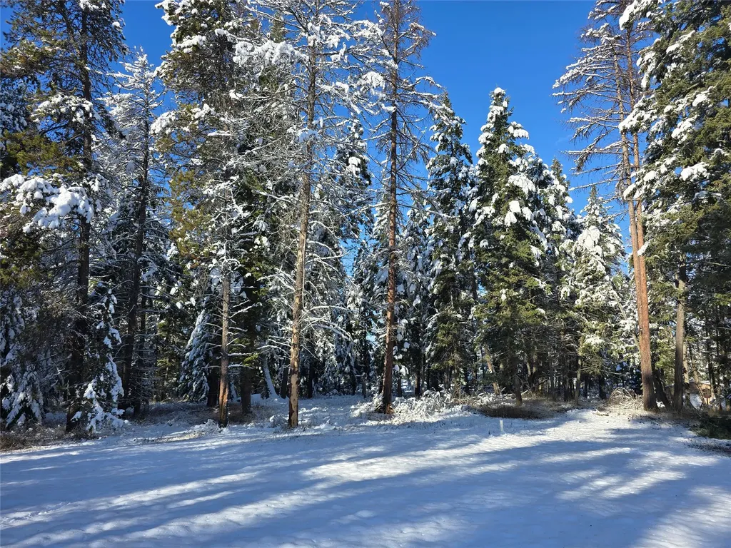272/268 Moose Trail Whitefish MT 59937