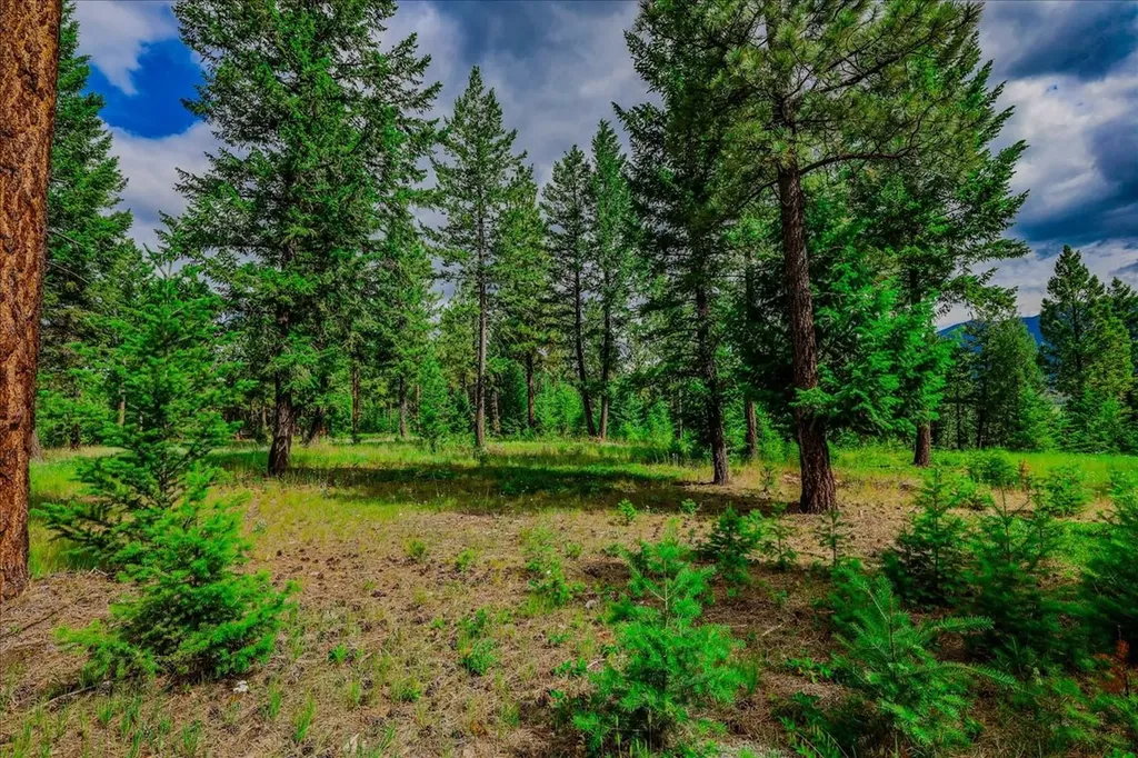 734 Hillandale Trail Eureka MT 59917