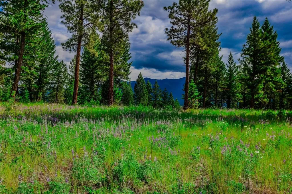 734 Hillandale Trail Eureka MT 59917