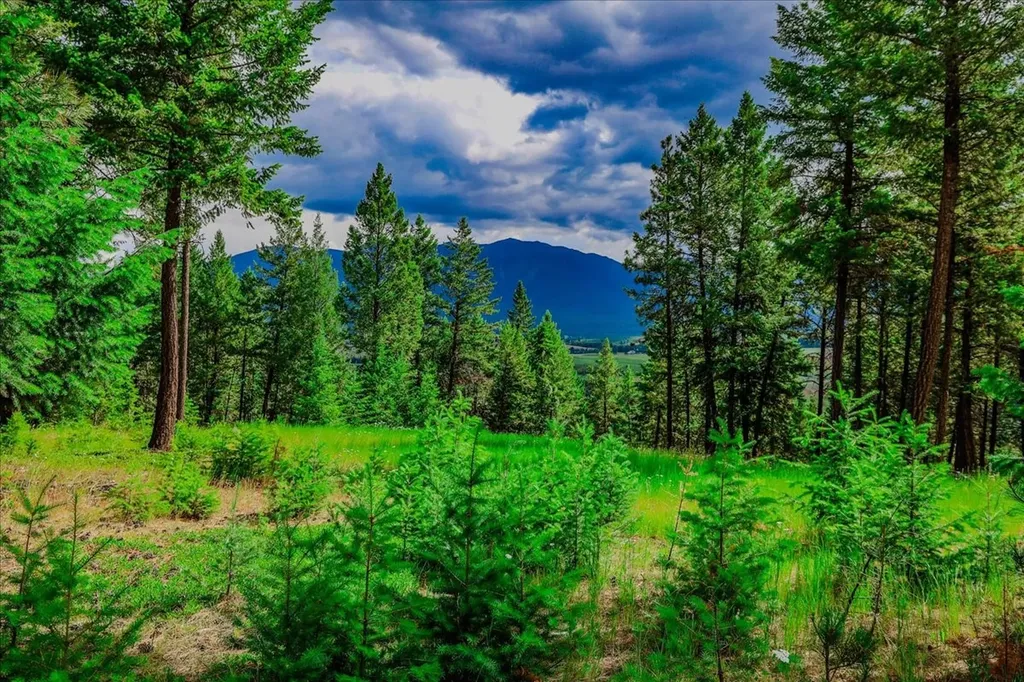 734 Hillandale Trail Eureka MT 59917