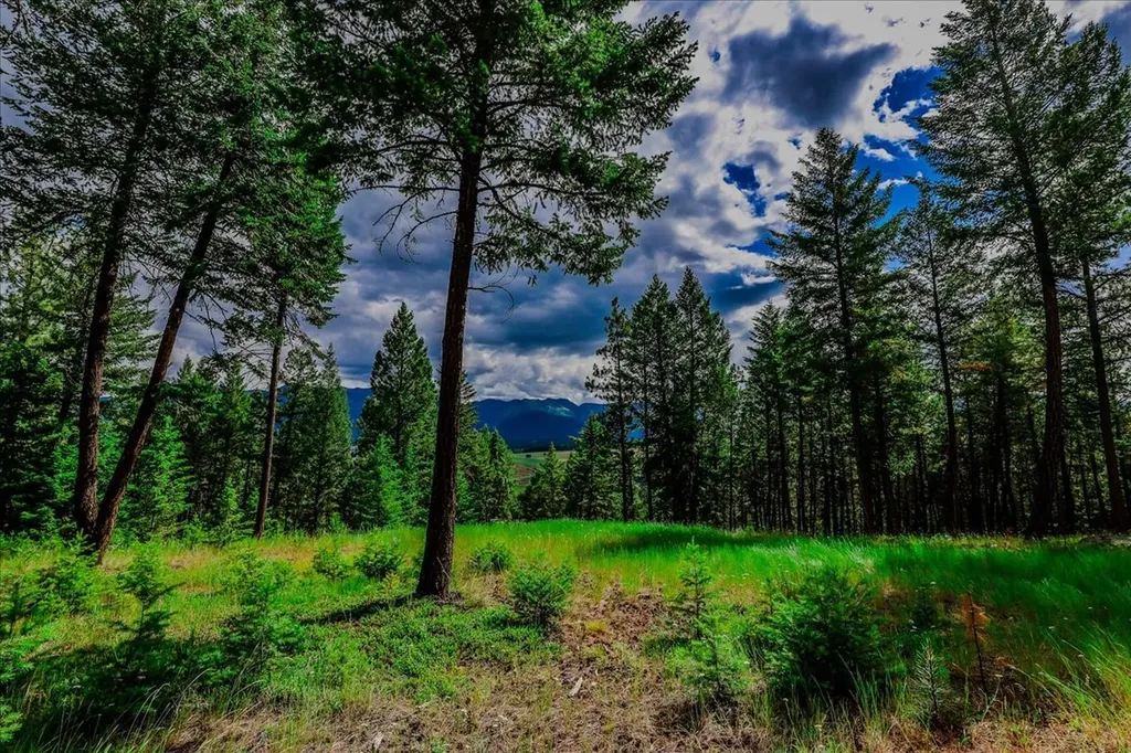 734 Hillandale Trail Eureka MT 59917