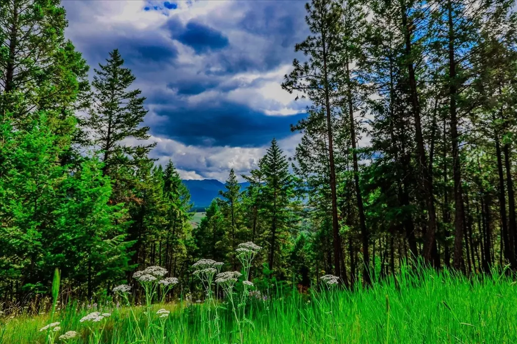 734 Hillandale Trail Eureka MT 59917