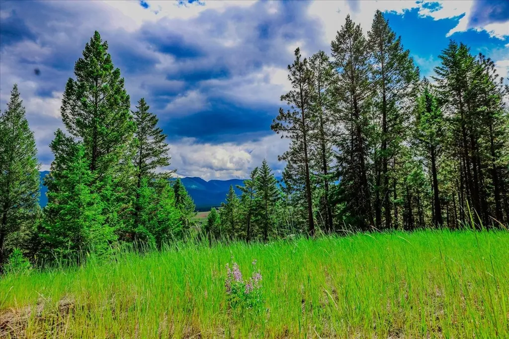 734 Hillandale Trail Eureka MT 59917