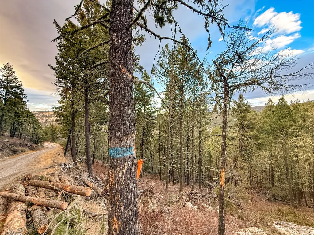 0 Two Creeks Road White Sulphur Springs MT 59645
