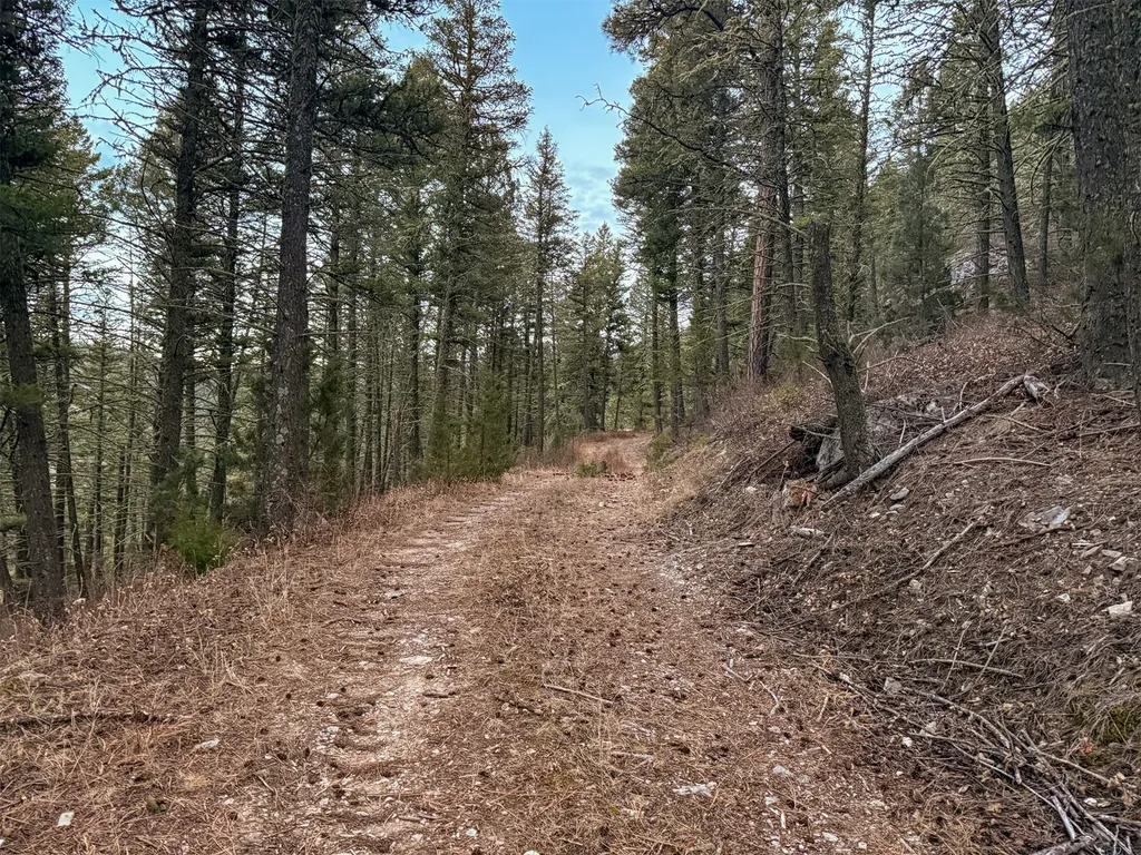 0 Two Creeks Road White Sulphur Springs MT 59645