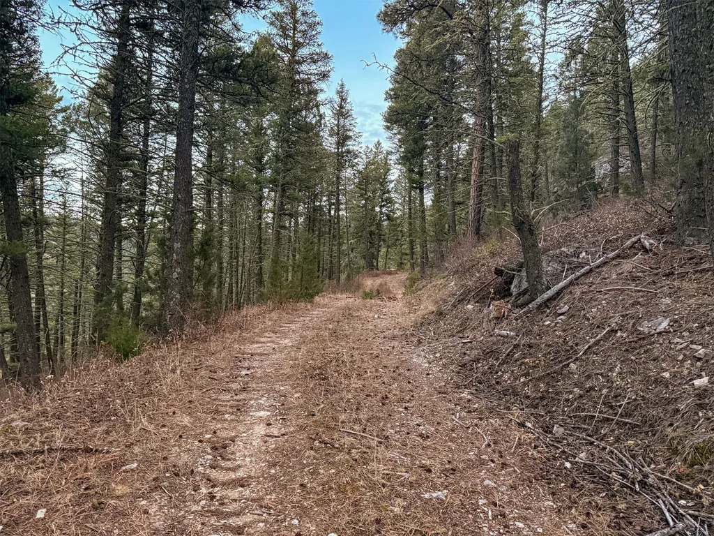 0 Two Creeks Road White Sulphur Springs MT 59645