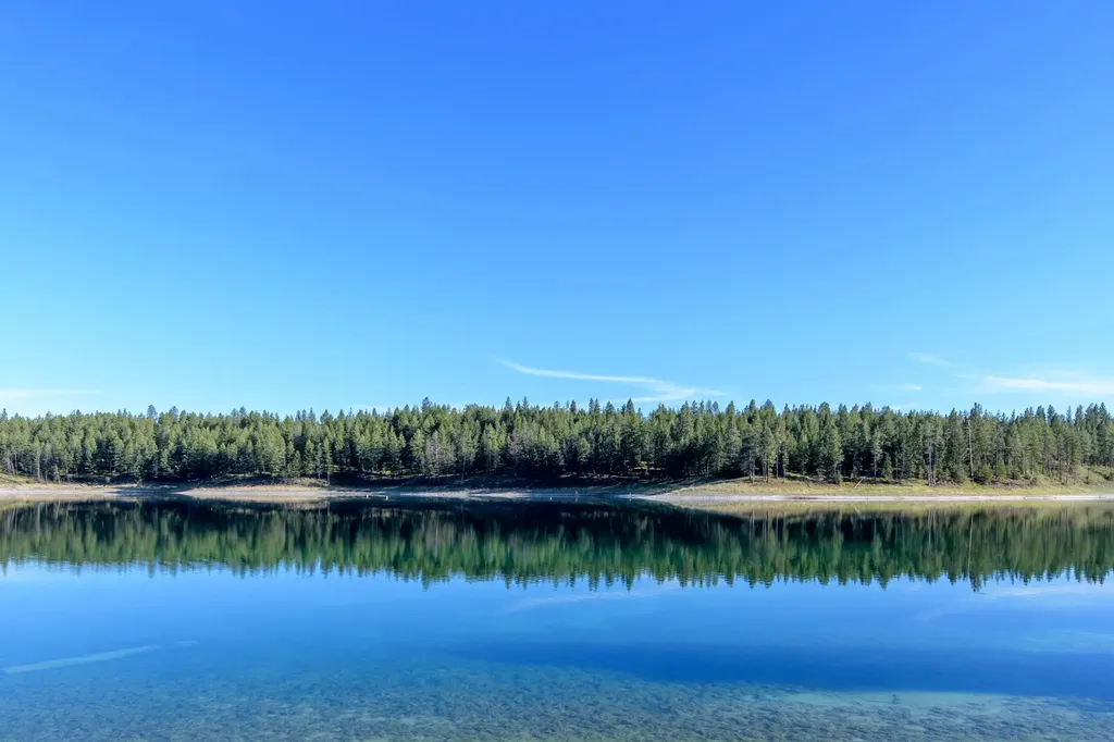 2650 Sophie Lake Road Eureka MT 59917