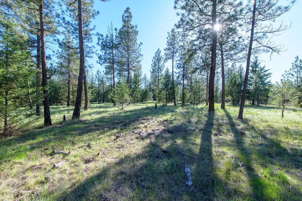 2650 Sophie Lake Road Eureka MT 59917