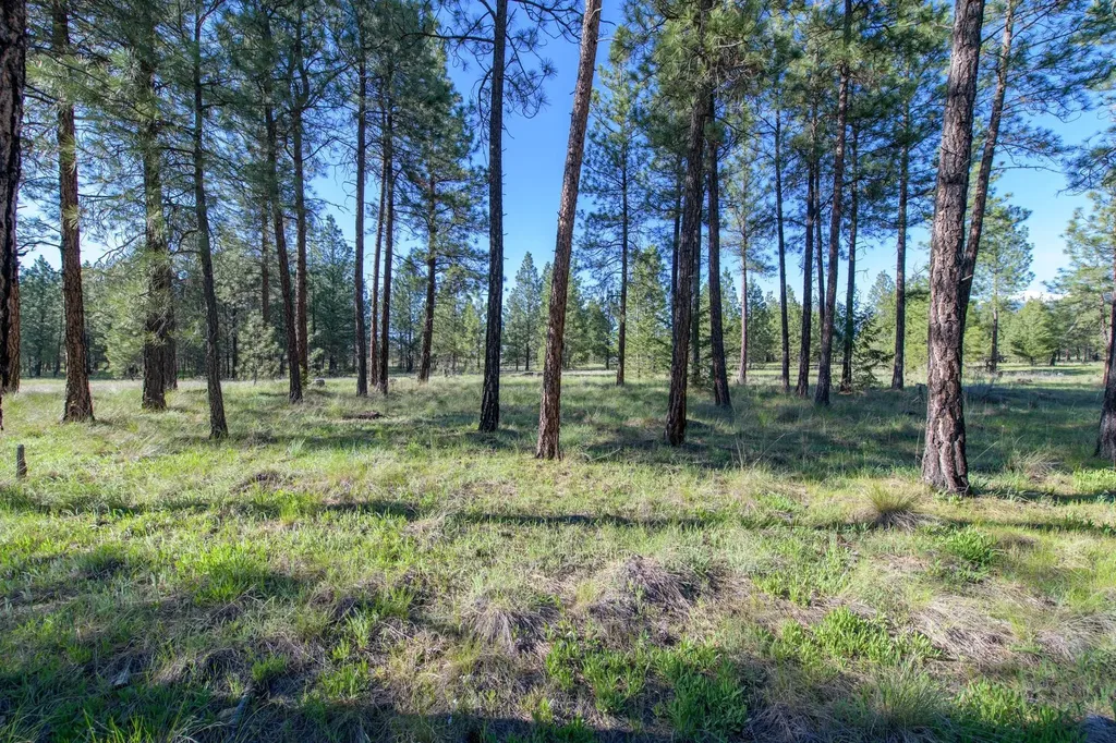 2650 Sophie Lake Road Eureka MT 59917