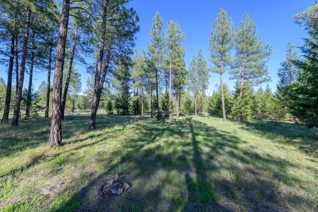 2650 Sophie Lake Road Eureka MT 59917