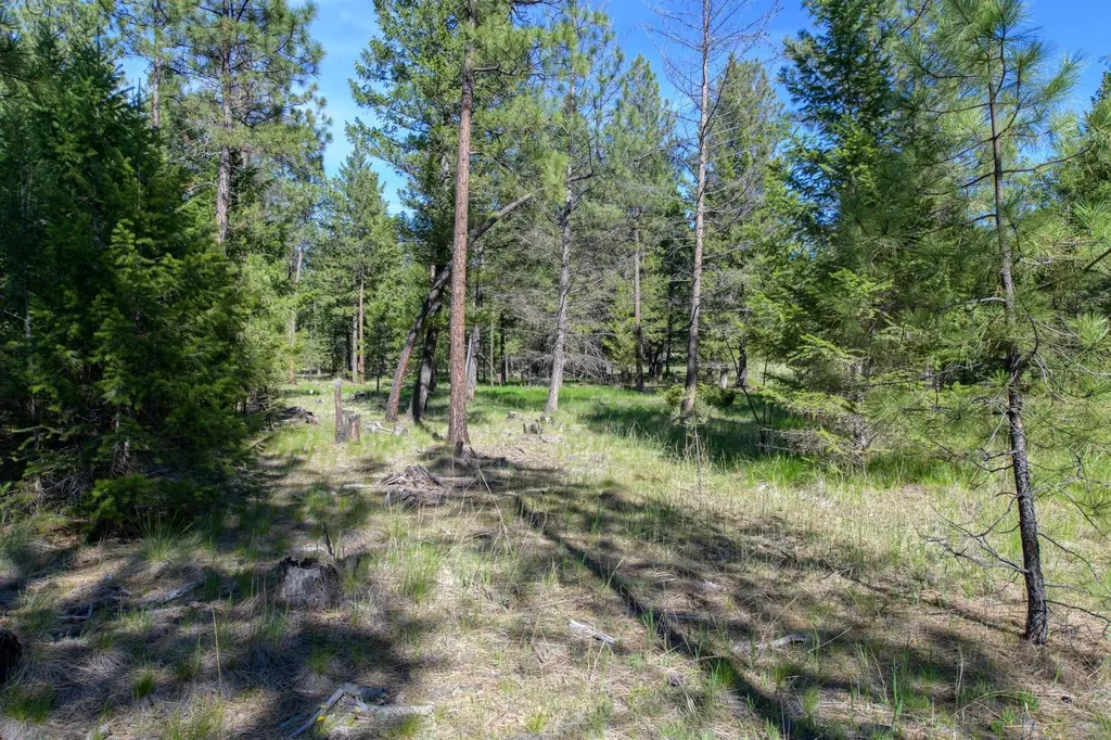 2650 Sophie Lake Road Eureka MT 59917