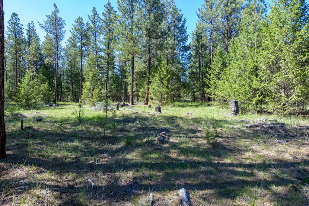 2650 Sophie Lake Road Eureka MT 59917