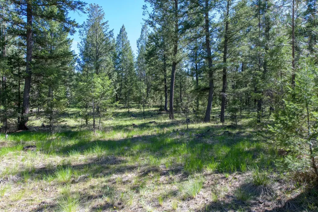 2650 Sophie Lake Road Eureka MT 59917