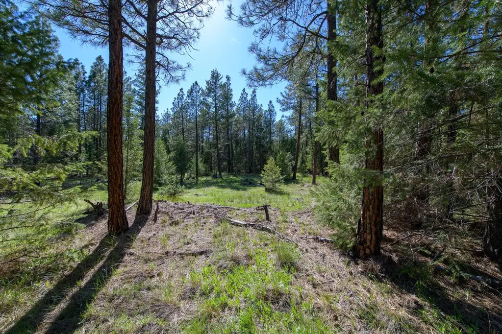 2650 Sophie Lake Road Eureka MT 59917