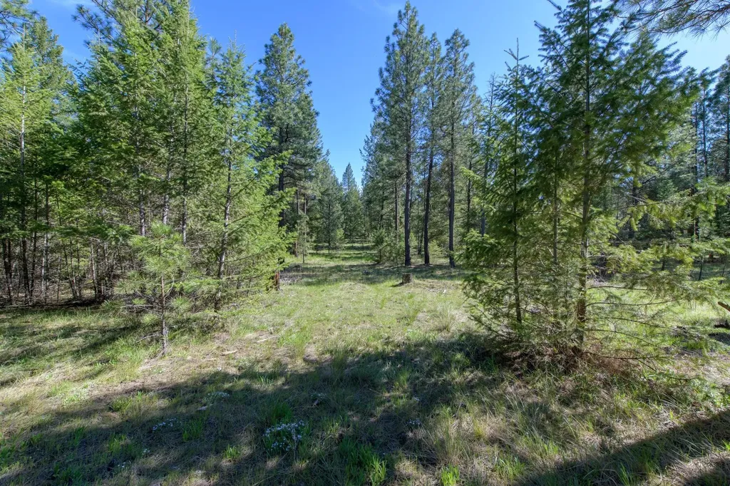2650 Sophie Lake Road Eureka MT 59917