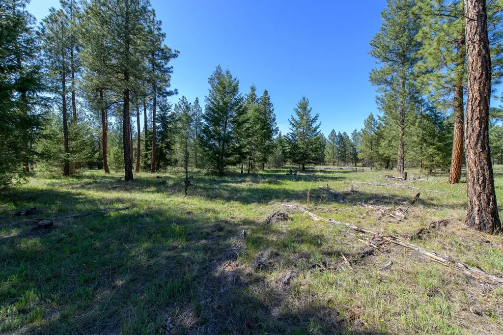 2650 Sophie Lake Road Eureka MT 59917