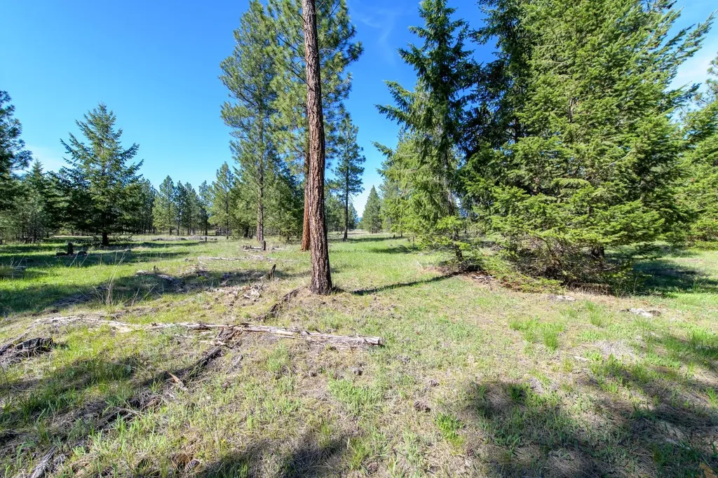 2650 Sophie Lake Road Eureka MT 59917