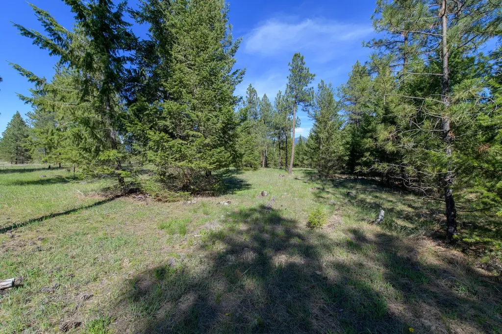 2650 Sophie Lake Road Eureka MT 59917