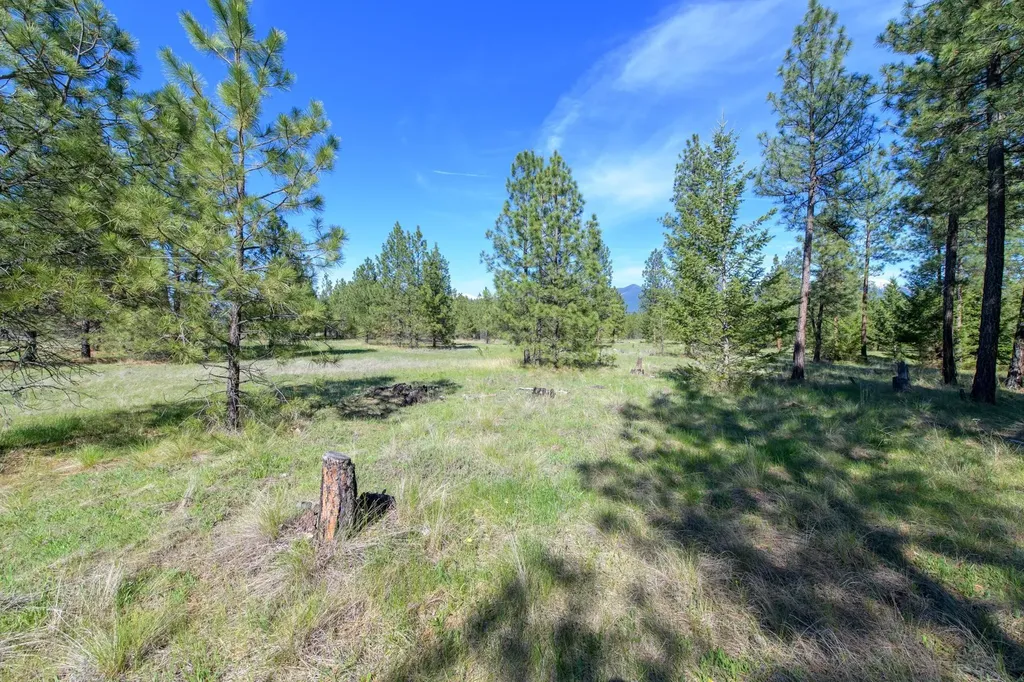 2650 Sophie Lake Road Eureka MT 59917