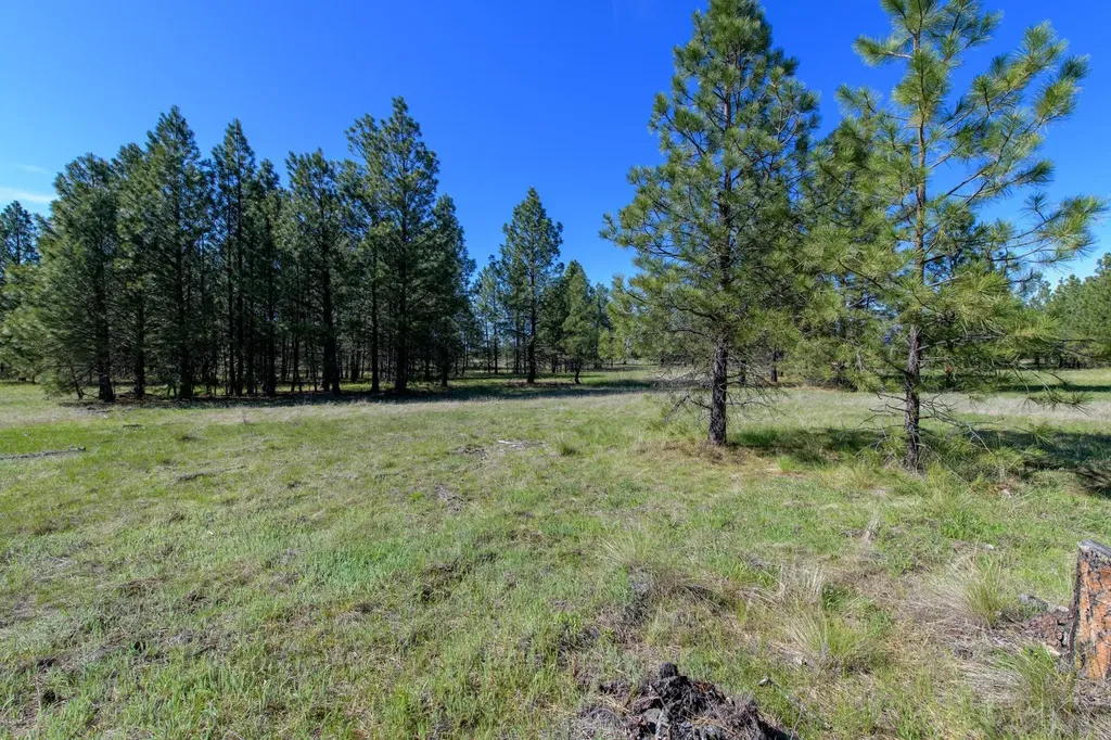 2650 Sophie Lake Road Eureka MT 59917