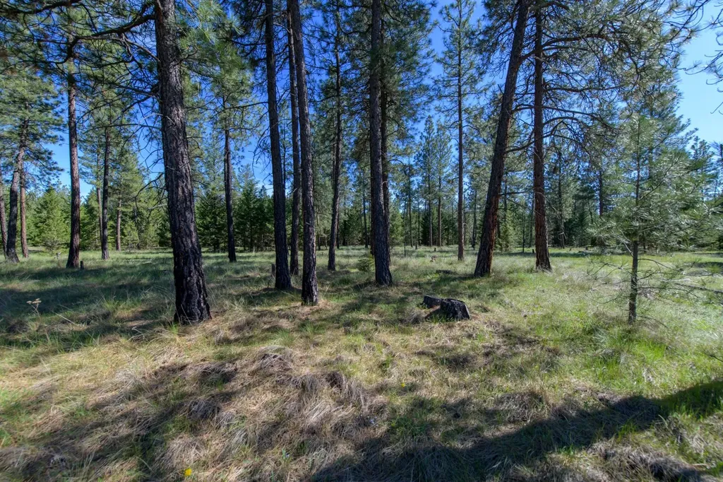 2650 Sophie Lake Road Eureka MT 59917